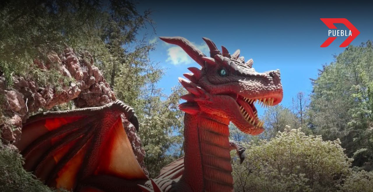 Bosque de Dragones en Volcanic Park