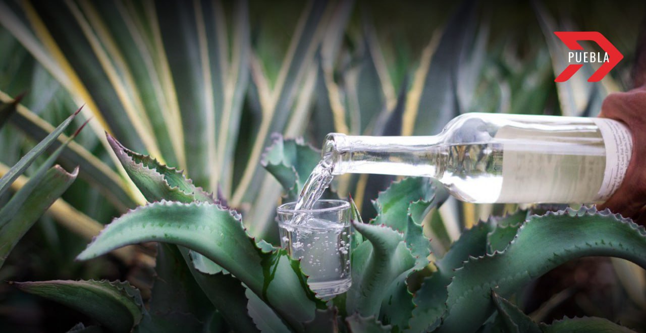 mezcal Puebla