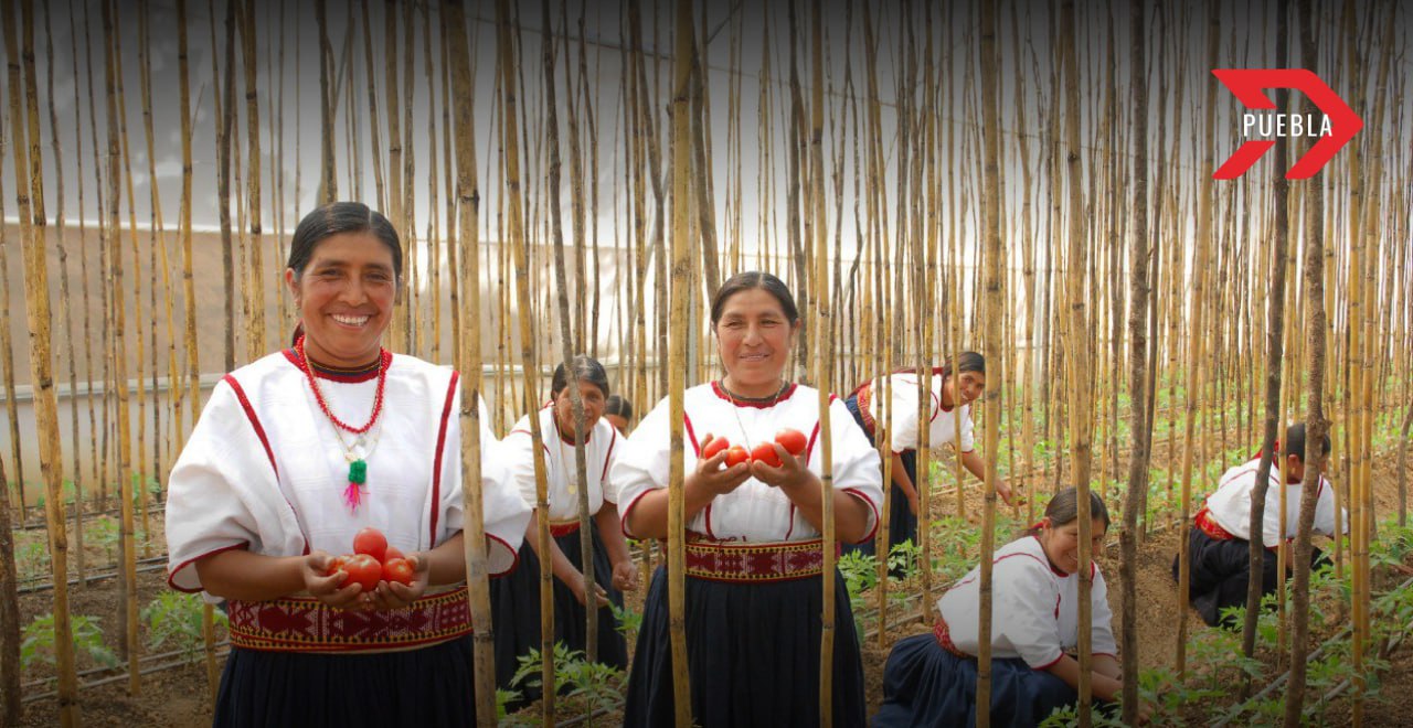 Mujer Rural Emprendedora