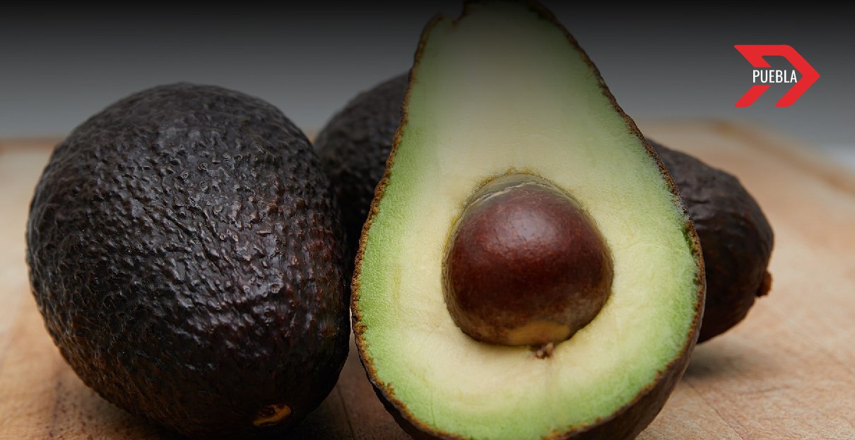 Tras barreras en Estados Unidos, el aguacate poblano pone la mira en los Emiratos Árabes