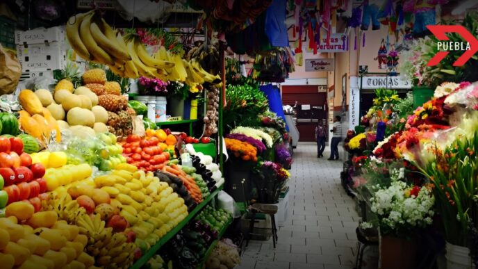 central de abastos