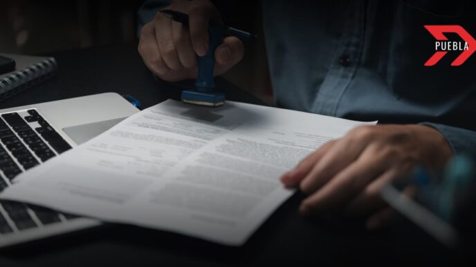 rendición de cuentas