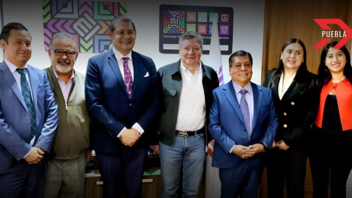 puebla cdmx tren ligero