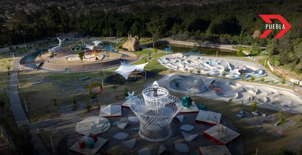 flor del bosque Puebla