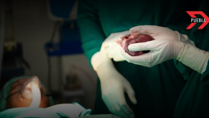 Puebla pide concientizar sobre la donación órganos