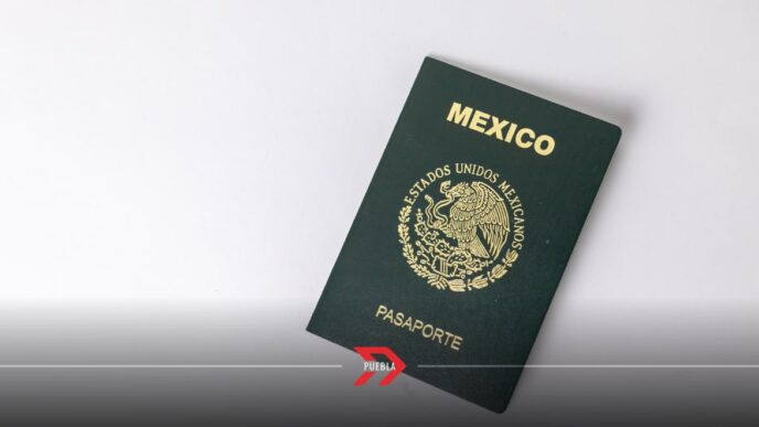 pasaporte descuento