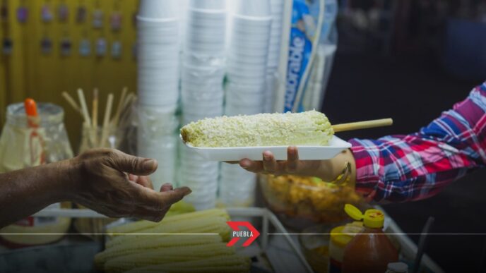 Puebla analiza reubicar ambulantes en Paseo Bravo y El Carmen