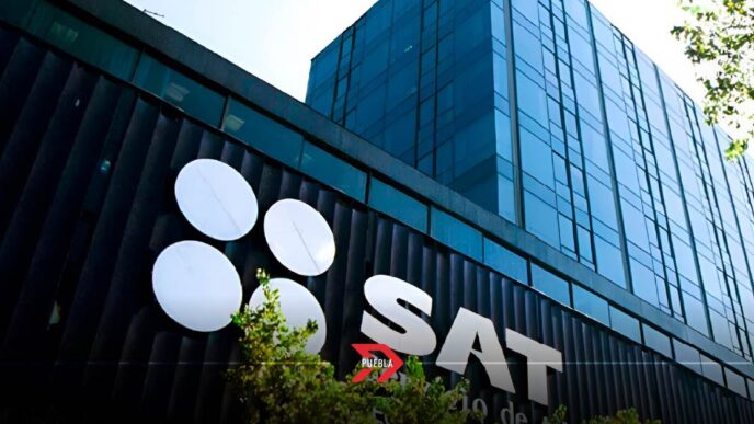SAT 2025: Cómo declarar préstamos y depósitos para evitar multas