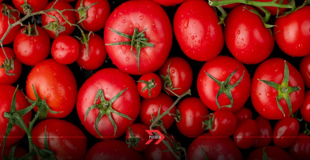 Entran en vigor aranceles del 17% al jitomate mexicano