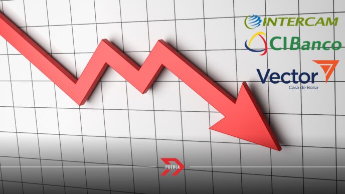 Fitch Ratings baja las calificaciones de CIBanco, Intercam y Vector Casa de Bolsa