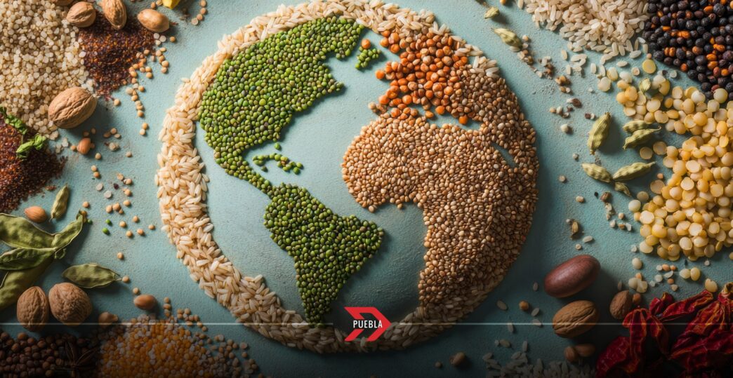Alerta mundial: Cambio climático extremo dispara precios de alimentos en 2025