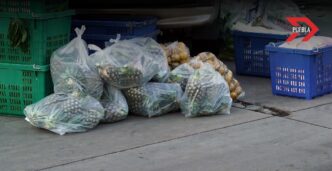 Bolsas de plástico en Puebla: Prohibidas por ley, pero con 2 mil toneladas de basura al mes