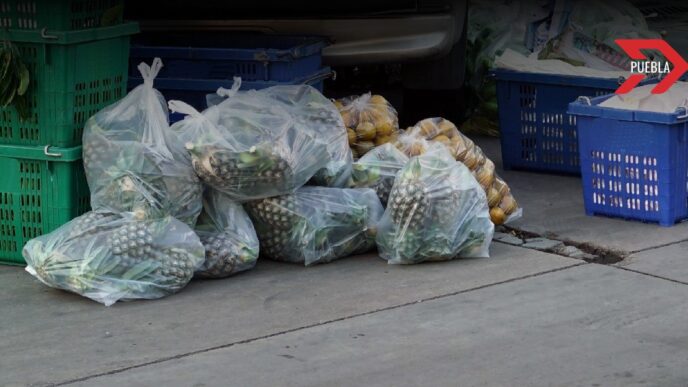 Bolsas de plástico en Puebla: Prohibidas por ley, pero con 2 mil toneladas de basura al mes