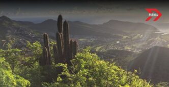 Puebla implementa estrategias para la conservación de áreas forestales