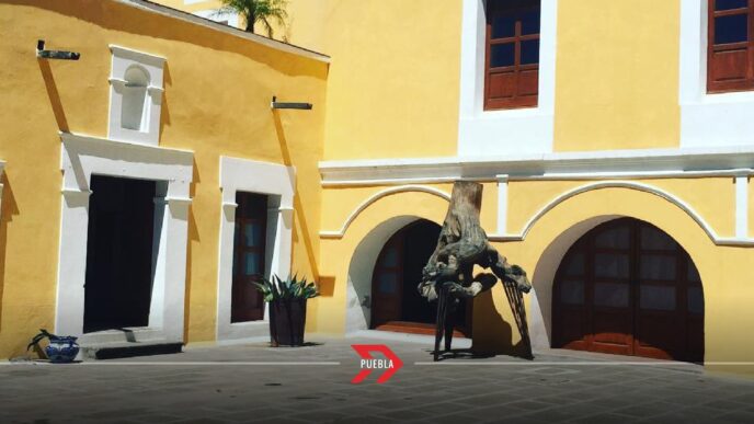 Las nuevas exposiciones del Museo Casa del Caballero Águila: Fechas y detalles