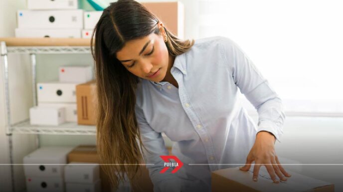 informalidad pymes Puebla