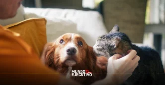 Costos de tenencia responsable de mascotas en 2025 según Condusef