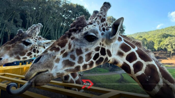 ¿Cuánto cuesta entrar al Bioparque Estrella en 2025? Precios y promociones de verano