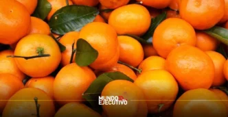 mandarina
