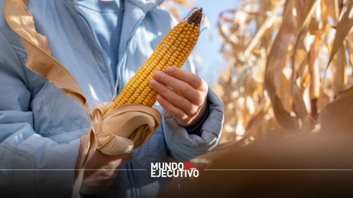 Gobierno de México acuerda apoyo de 950 pesos por tonelada de maíz con productores del Bajío